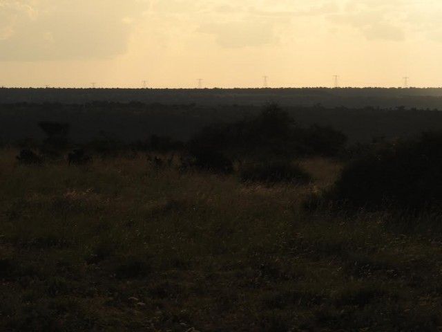 Turkana wind on Mpala